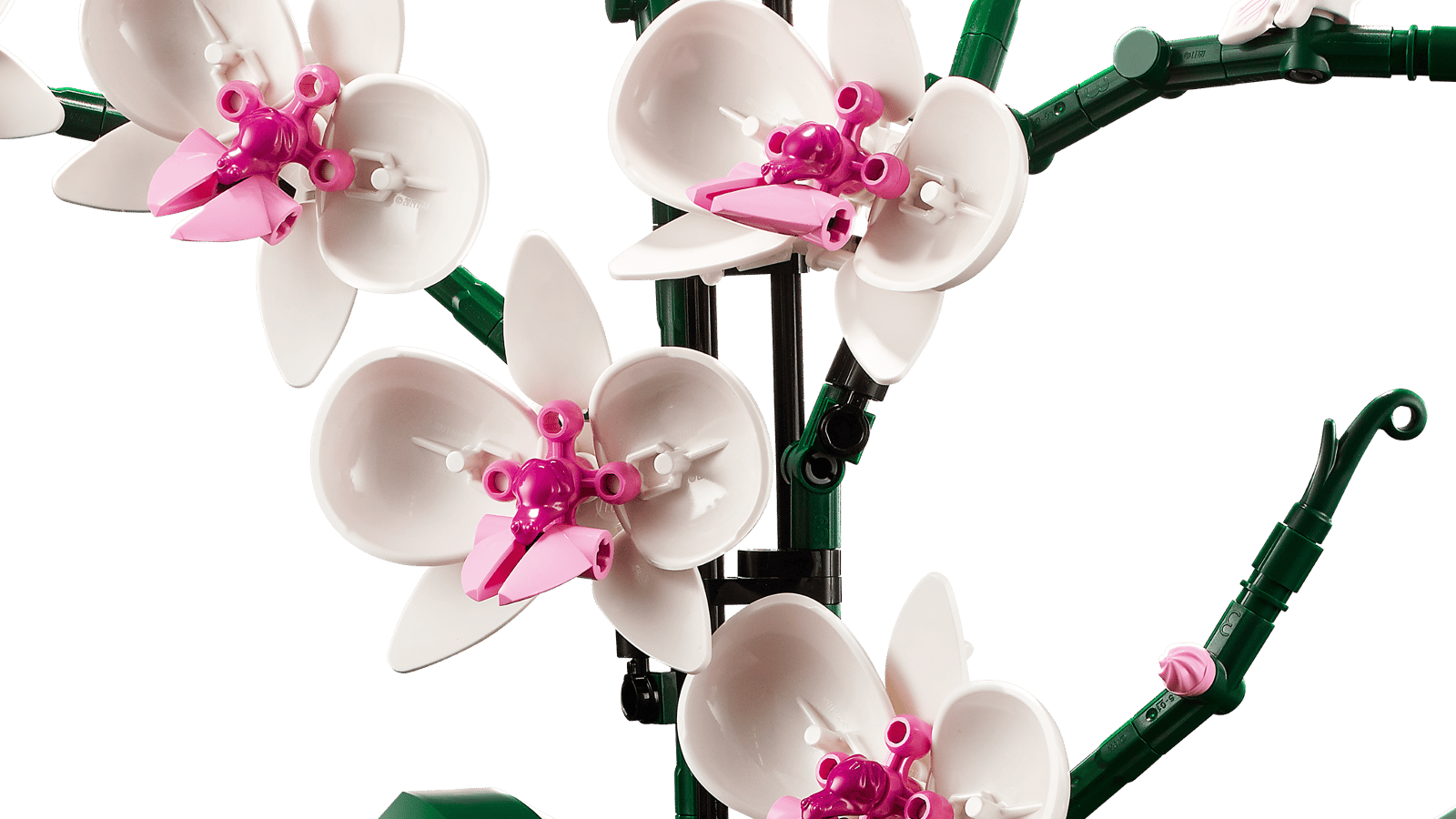 LEGO® Orchidee