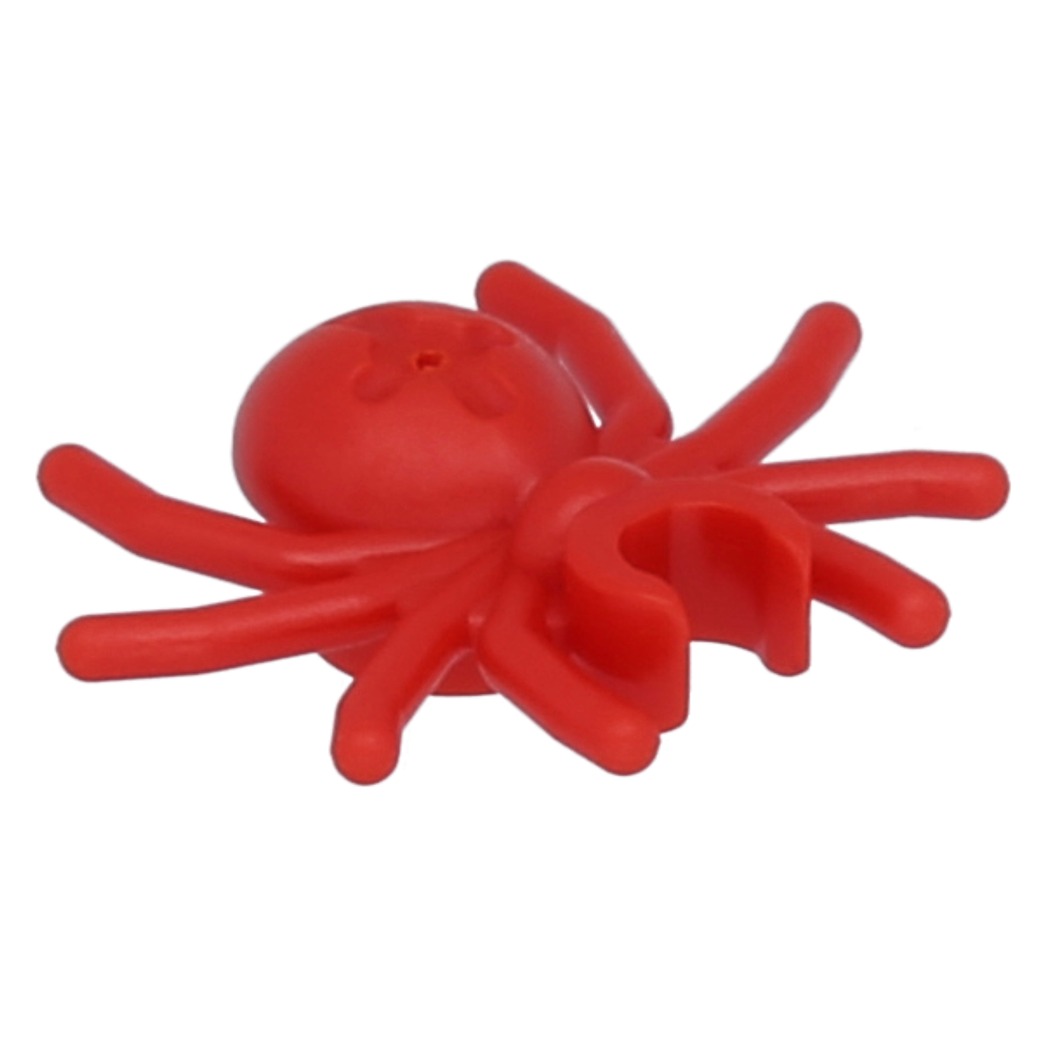 LEGO insects - spider with round abdomen and clip